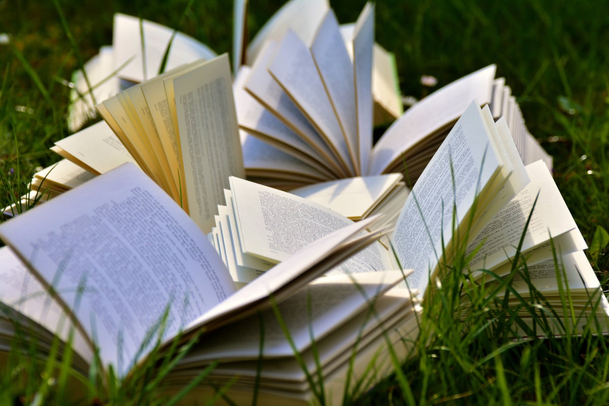 A Pile of Books